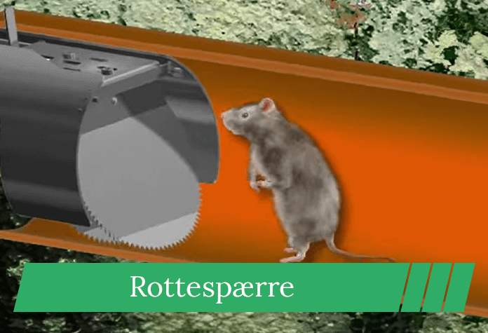 rottespaerre